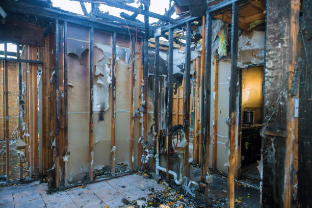 Professional Fire Damage Assessment technician working in Cooksville, MD