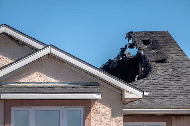 Top rated local Fire Damage Assessment specialists in Cooksville, MD